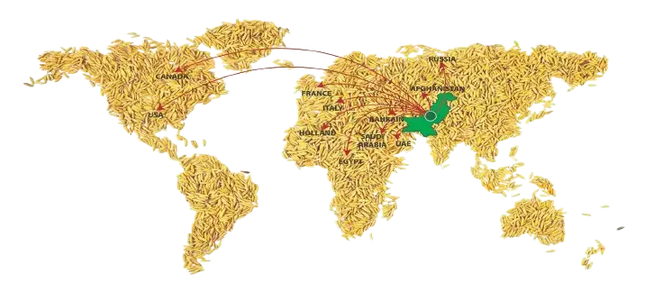 World Map of Rice Export